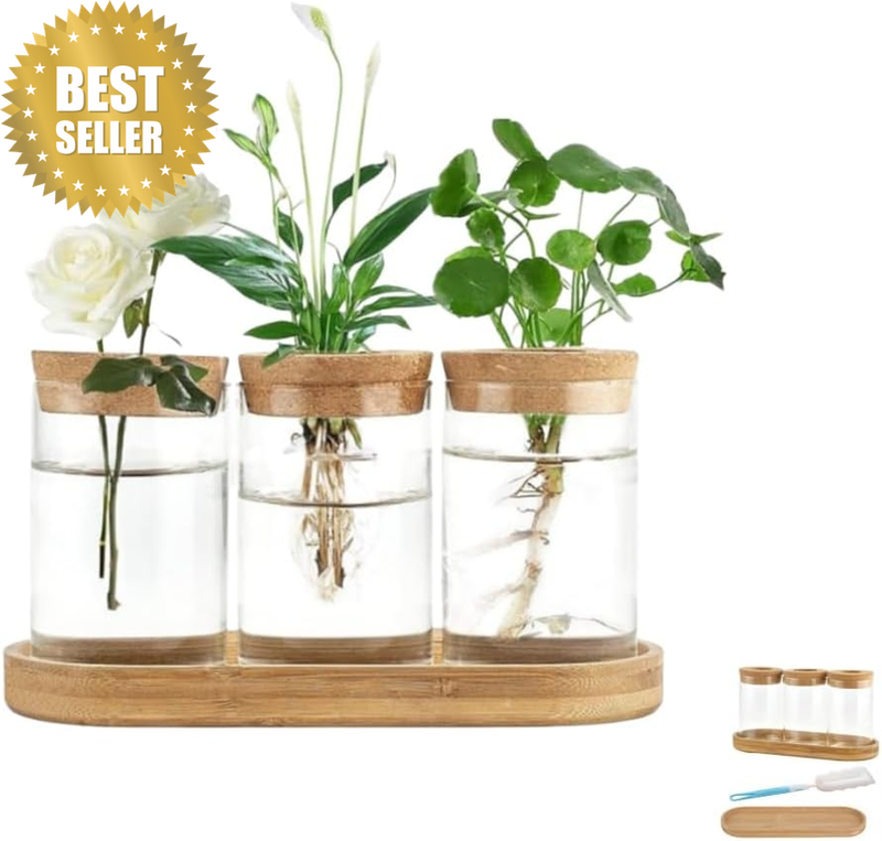 Plant Propagation Terrarium Desktop Glass Planter Station, 3 Pcs