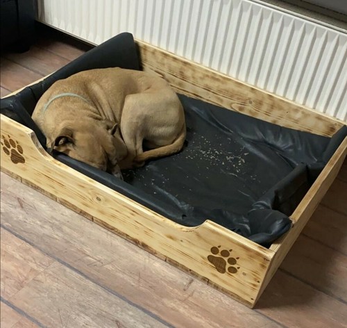 Hundebox Hundekiste Wurfkiste Welpenbox Hundebett Schlafplatz Hund Katze Welpe 