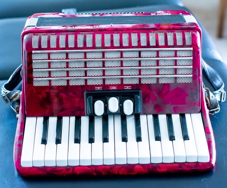 Accordion for sale in UK 107 secondhand Accordions