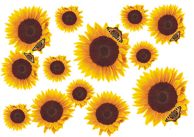 Blumen Aufkleber Sonnenblumen Auto Aufkleber: Flower Set 09-Mini-36 Stück