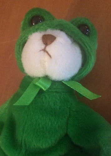 Ganz Wee Bear Village Leap Frog 5