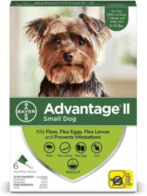 Advantage II Small Dog Vet-Recommended Flea Treatment & Prevention for 3-10lbs