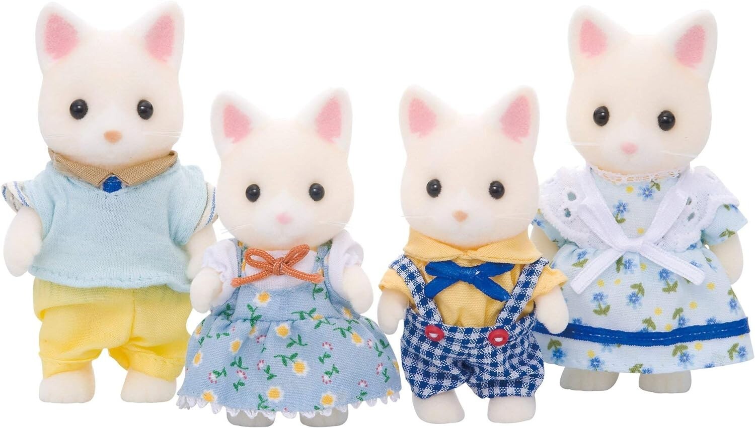 family cats様　0705 Cc Sandy Cat Family