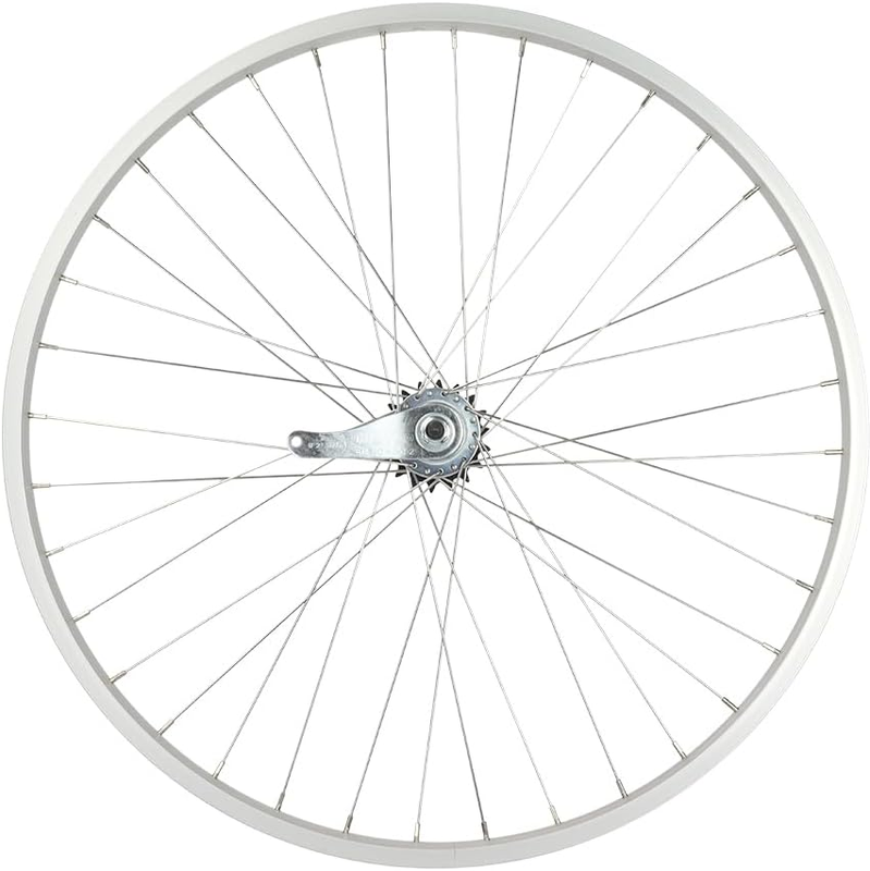 Coaster Brake Rear Wheel 26 X 1.75/2.125, Silver, 36 Spokes, 14G Stainless Steel