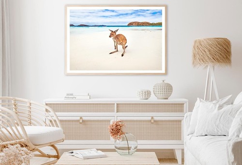 Baby Kangaroo On A Beach Print Premium Poster High Quality