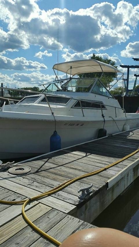 Wellcraft 1982 Sportsman 248 MAKE OFFER