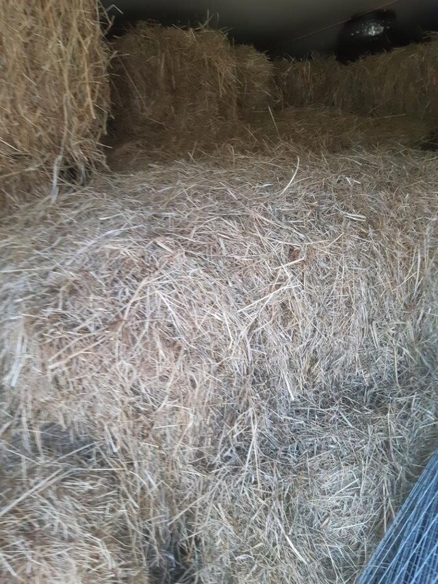 Hay for sale in Bramley, West Yorkshire Gumtree