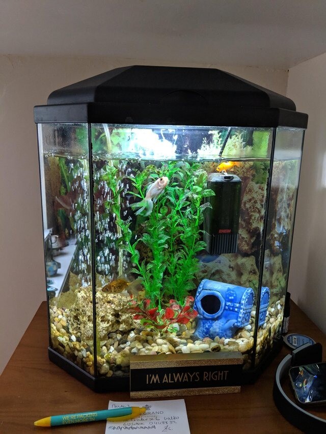 60 Litre Aquarium + Accessories in Romford, London Gumtree