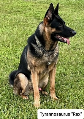 Foto dell'oggetto di un acquirente verificato