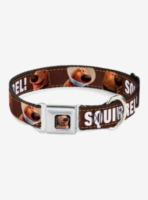 Buckle-Down Seatbelt Buckle Dog Collar - Dug 3-Poses/SQUIRREL! SZ L 15-24'' UP