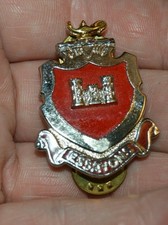 What does the army corps of engineers do picture