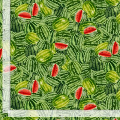 Food Fabric | Fruit Packed Watermelon Green Pink | Timeless Treasures YARD