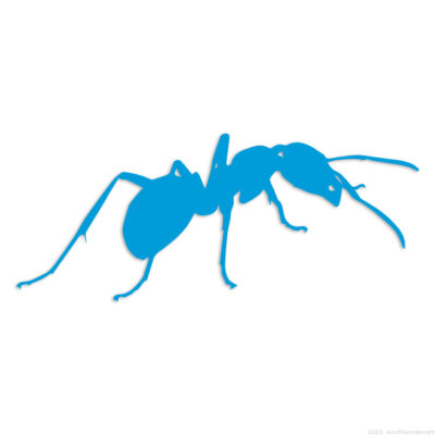 Ant Insect - Decal Sticker - Multiple Colors & Sizes - ebn6793