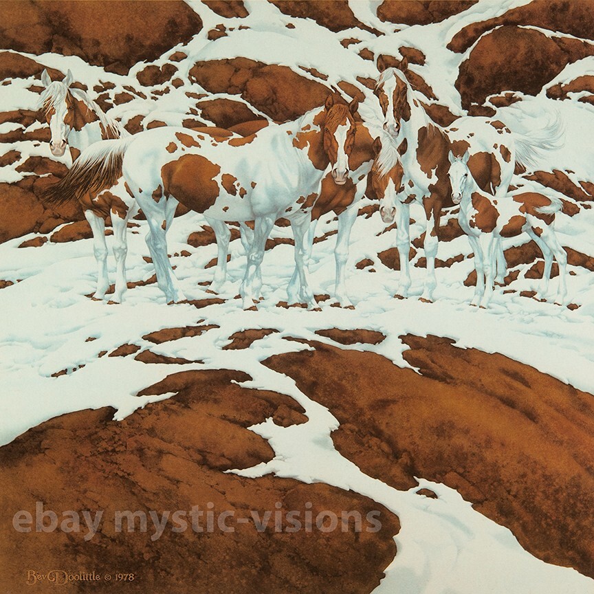 アート・デザイン・音楽 THE ART OF BEV DOOLITTLE The Art of Bev Doolittle: Doolittle, Bev: 9780553070095