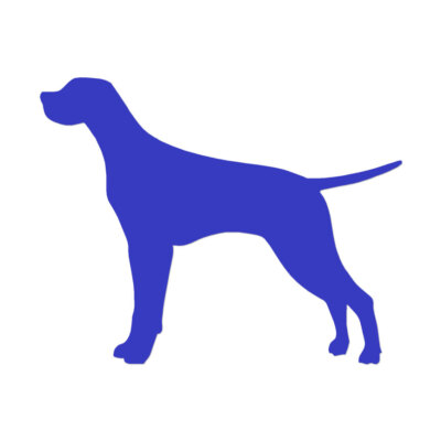 Pointer Dog - Vinyl Decal Sticker - Multiple Color & Sizes - ebn1993