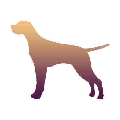 Pointer Dog - Vinyl Decal Sticker - Multiple Patterns & Sizes - ebn1993