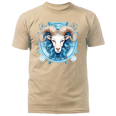 Aries Zodiac Sign Horoscope Astrological Graphic T-shirt