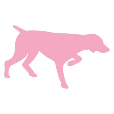 Bird Dog Pointer, Vinyl Decal Sticker, Multiple Colors & Sizes #6959
