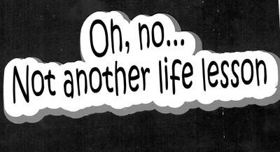 Oh No Not Another Life Lesson Sticker Permanent Die Cut Vinyl