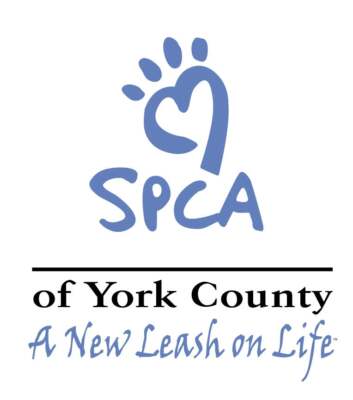 York County SPCA