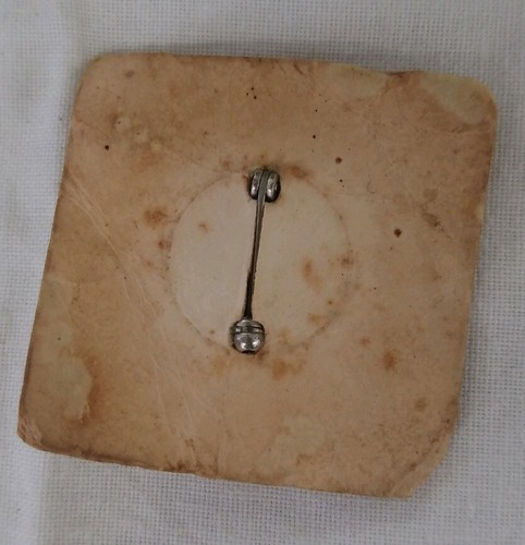 Life Saving Junior Round Enamel Pin 'W' On Back