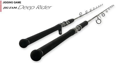 Tenryu Rod Spinning Jig Zam Deep Rider JDR 631S-3K (0013) | eBay