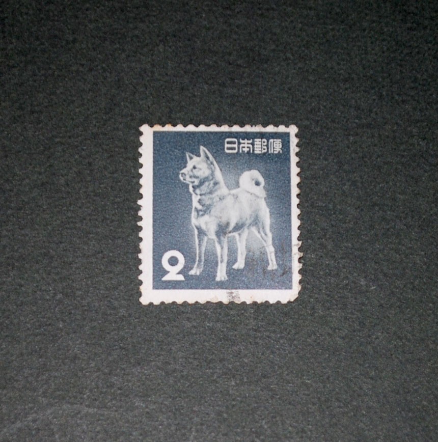 _57.JPG?set_id=880000500F