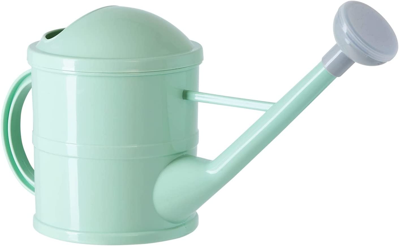 Small Mint Green Plastic Watering Can with Long Spout Sprinkler Head for Garden,