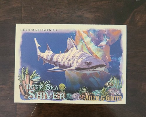 ダーツ deepsea Leopard Shark #DSS-12 2021 Topps Allen & Ginter Deep Sea