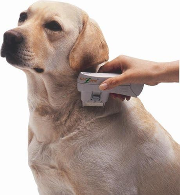 Electric flea cheap killer comb