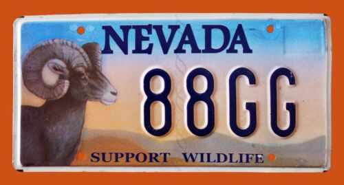 NEVADA GRAPHIC BIG HORN SHEEP LICENSE PLATE " 88 GG " SUPPORT WILDLIFE NV