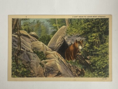 Postcard I Can t Bear To Leave West Virginia Cute Bear Mountains Forest WVU
