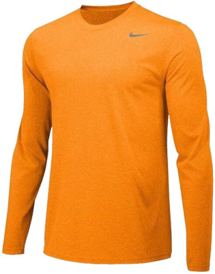 Nike, Dri-Fit Legend Long Sleeve Tee Bright Ceramic/Cool Grey, Mens Size Small