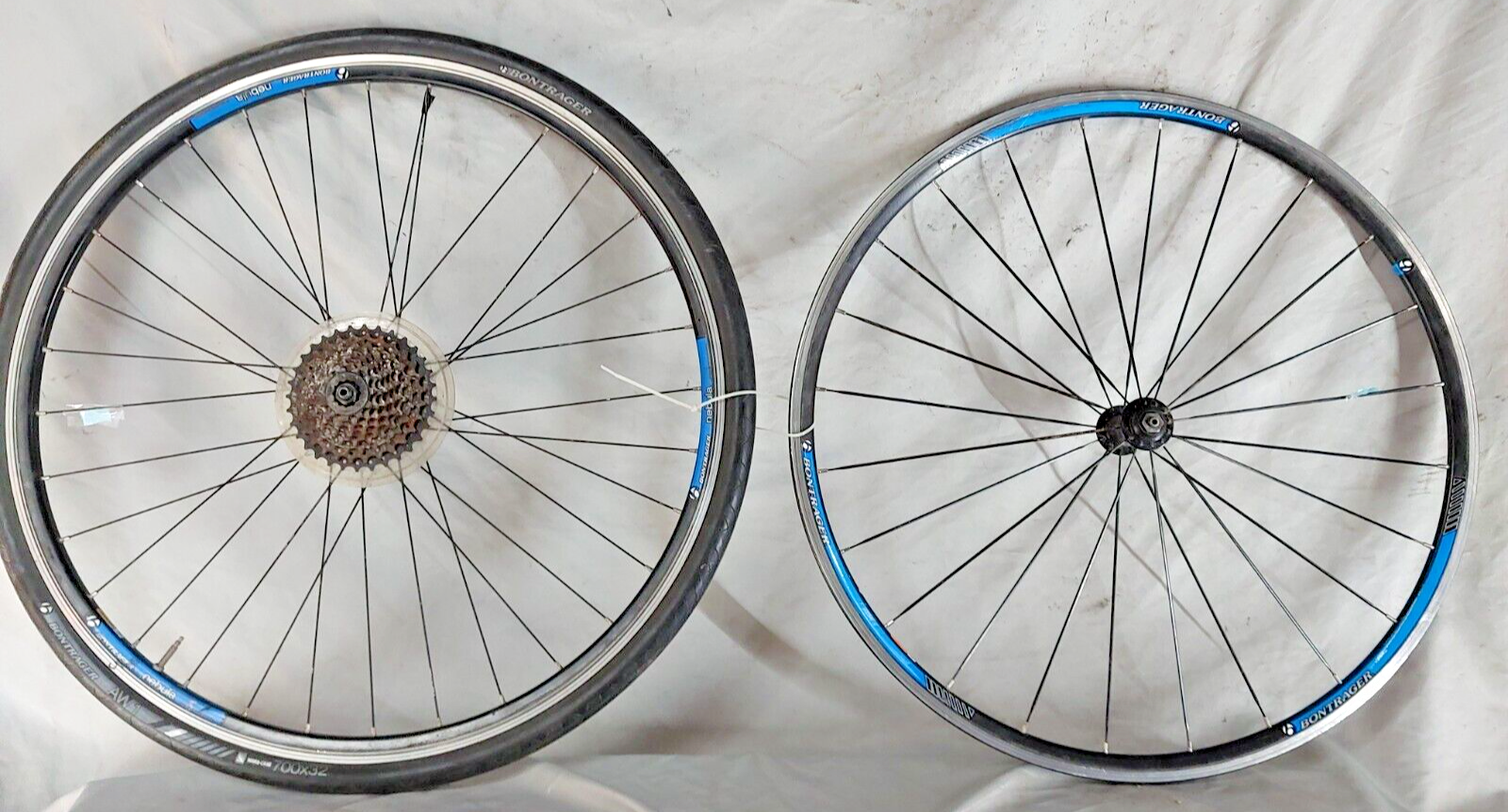 Bontrager Nebula シティサイクル 700x32c Bontrager Nebula Tire - Towpath Bike, Rochester New York's