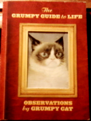 The Grumpy Guide to Life: Observations By Grumpy Cat (2014, Soft Cover)