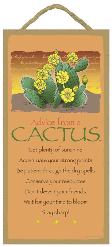 Advice From a Cactus get plenty of sun stay sharp..
