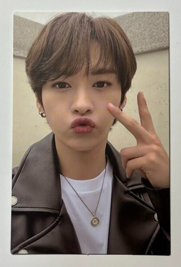 Stray Kids LEEKNOW ID - ODDINARY - official Photo card Mini