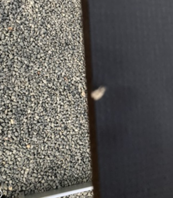 Objectfoto('s) van geverifieerde koper