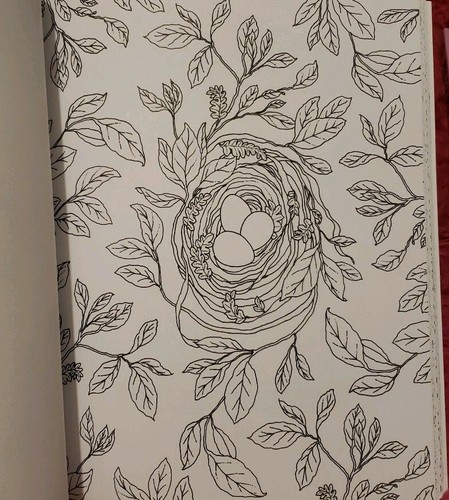 Crayola Elegant Escapes Coloring Book NEW from Hallmark Artists 80 Pgs