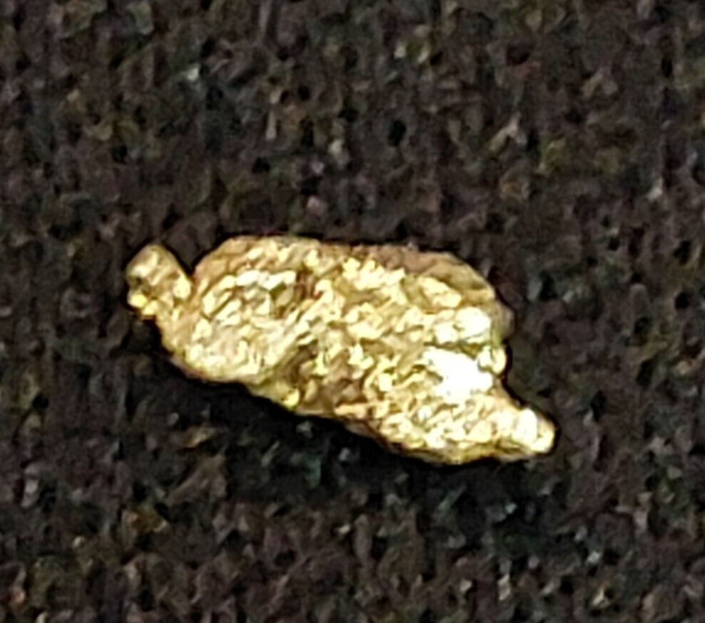 GOLD RUSH! (2) Authentic Alaskan Yukon Gold Nuggets / Genuine Natural Ore