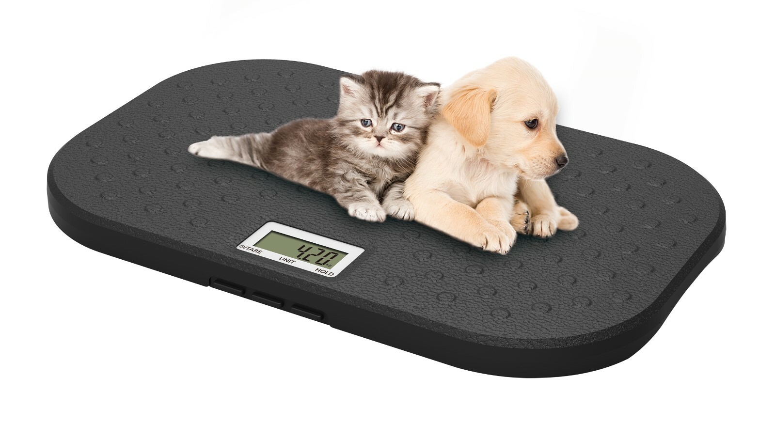 New Electronic Digital Pet Vet Scale Scales large platform ...