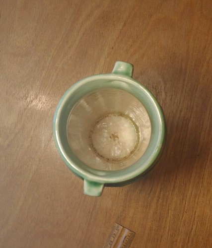 Red Wing Art Pottery #186 Green Corinthian 9.25