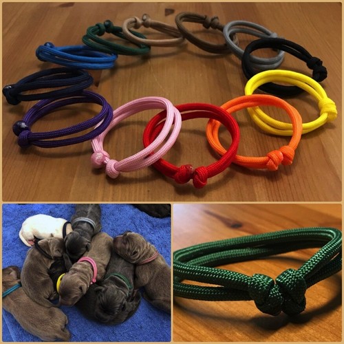verstellbare Paracord Welpenhalsbänder Welpenband Markierungshalsband 51 Farben