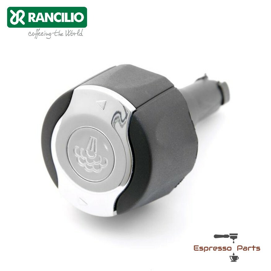 Rancilio Silvia v5（修理が必要） Rancilio Silvia v5（修理が必要）