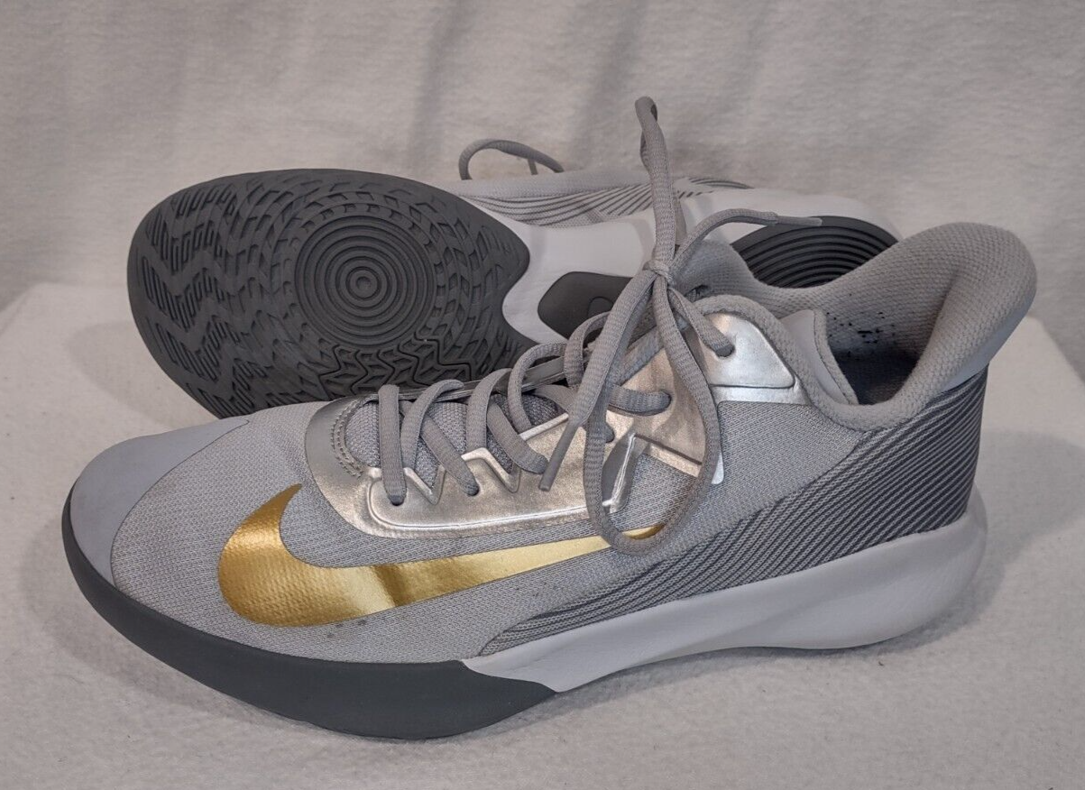NIKE PRECISION IV UNISEX BASKETBALL SHOE, CK1069-007, Men US