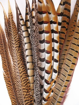 Pheasant Tail Feathers DELUXE MIX Long  16-20 inch per DOZEN