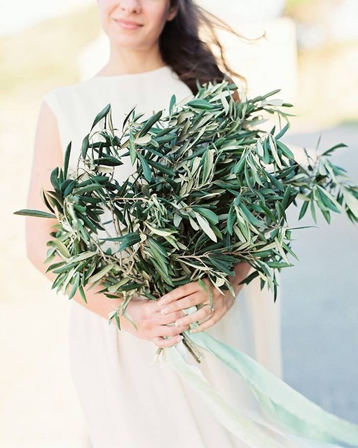 Fresh olive tree branches, great decoration for weddings ...
