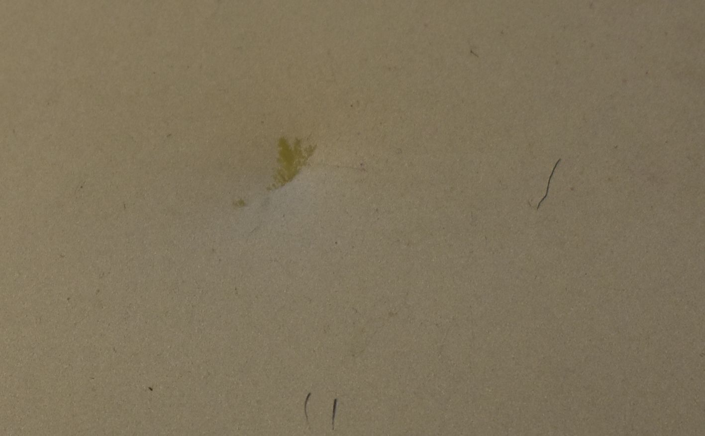 Sansui Audio Program Timer Model no AT-20