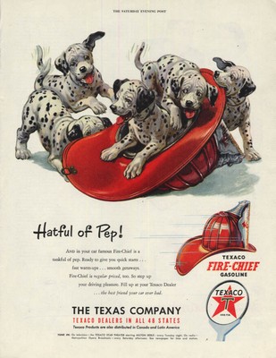 Hatful of pep! Texaco Gasoline Dalmatian Puppiesin fireman's helmet ad 1951