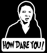 Greta Thunberg HOW DARE YOU! Vinyl Decal, Bumper Sticker, JDM, Funny, Meme, etc. | eBay